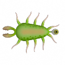 Mimpear