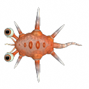 crabb