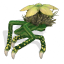 Springster