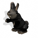 bunny